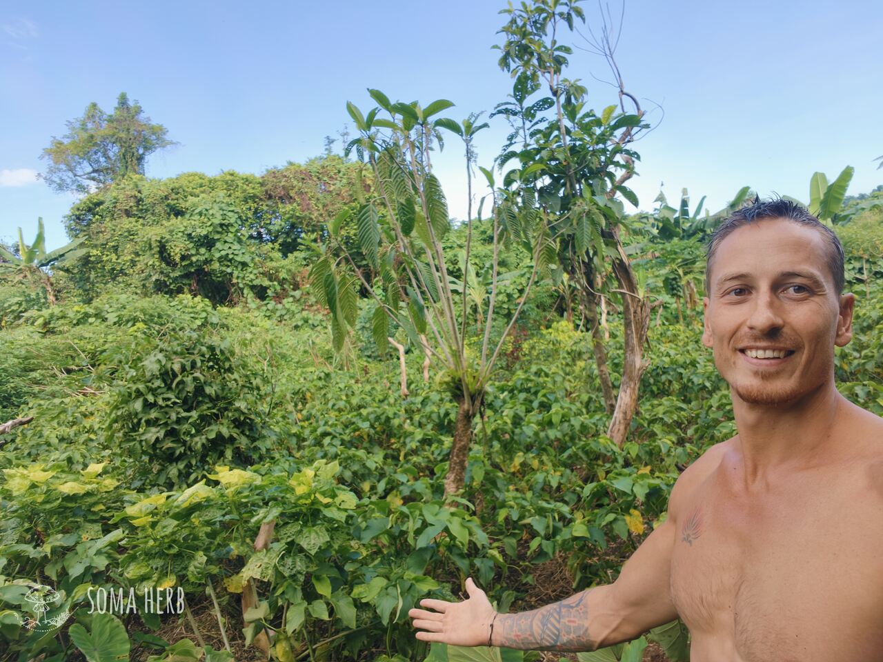 Patrik Segeš na kava farmě na Vanuatu, autor knihy o kava kava, výzkum kavy