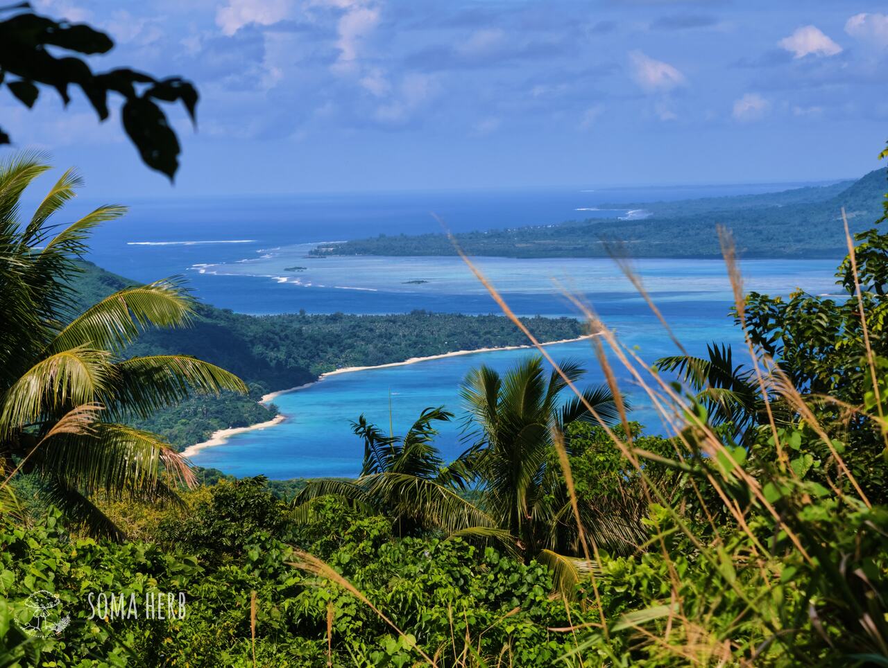 Cesta za kavou na Vanuatu, výzkum kavy, kniha o kavě, expertíza