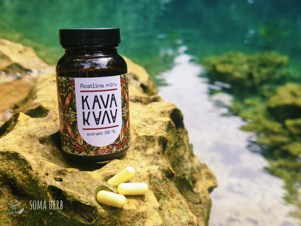 Kava kava kapsle, pepřovník opojný, kava extrakt, prodej kavy