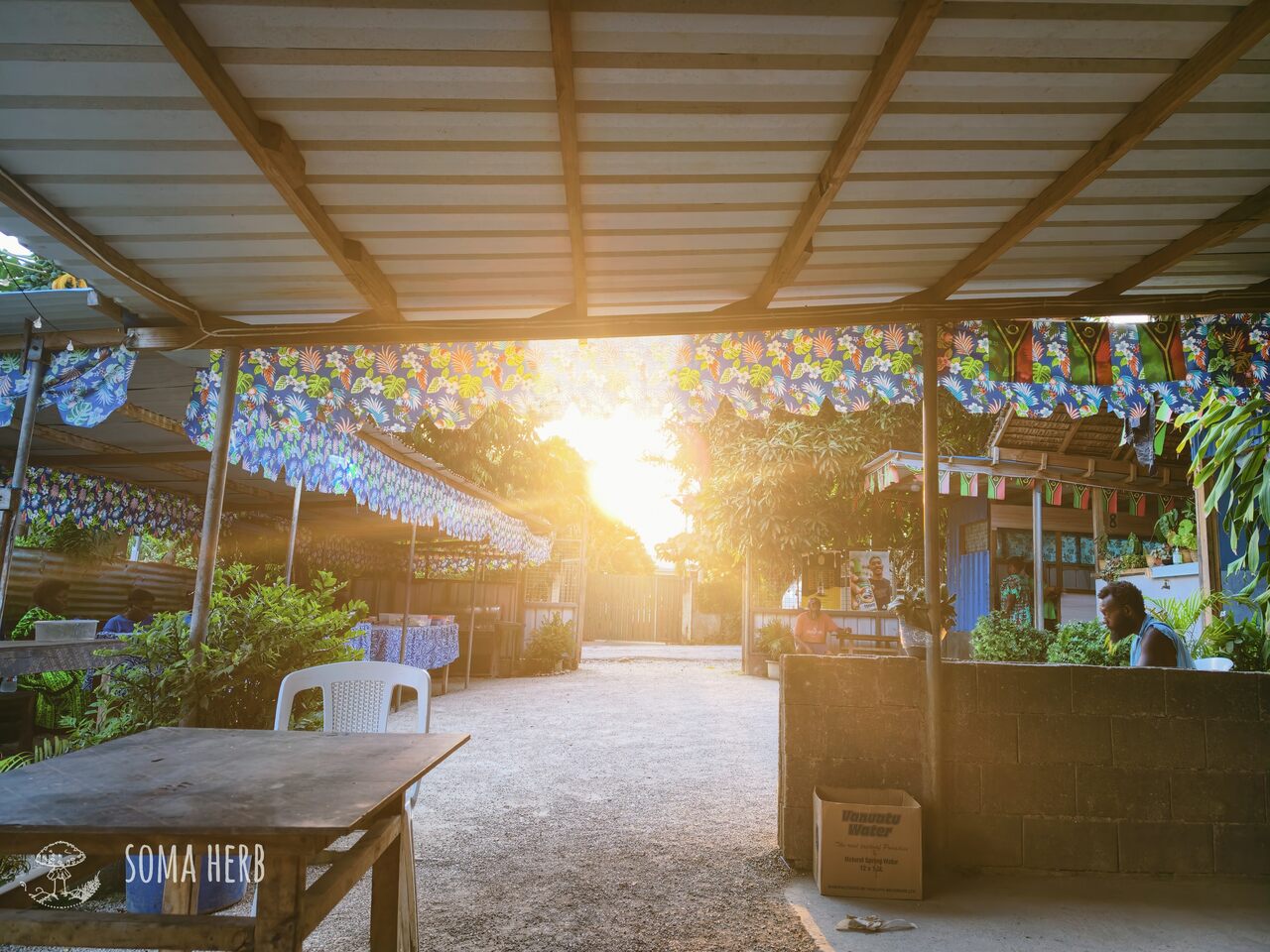Kava kava bar v Port Vila, Vanuatu 2026