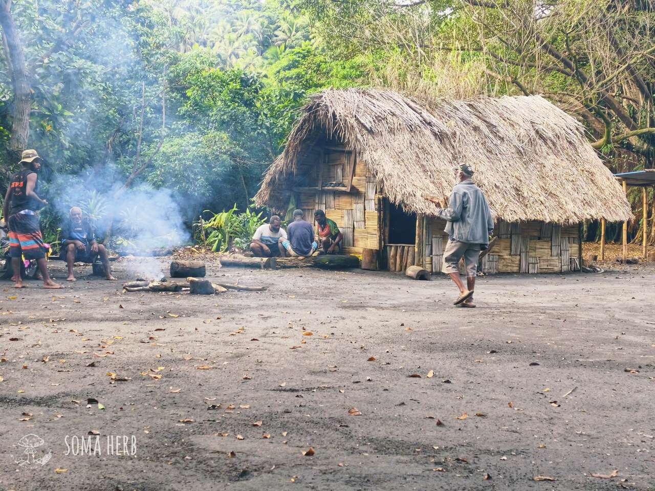 Tradiční kava kava ceremonie v nakamalu v džungli, ostrov Tanna, Vanuatu 2026