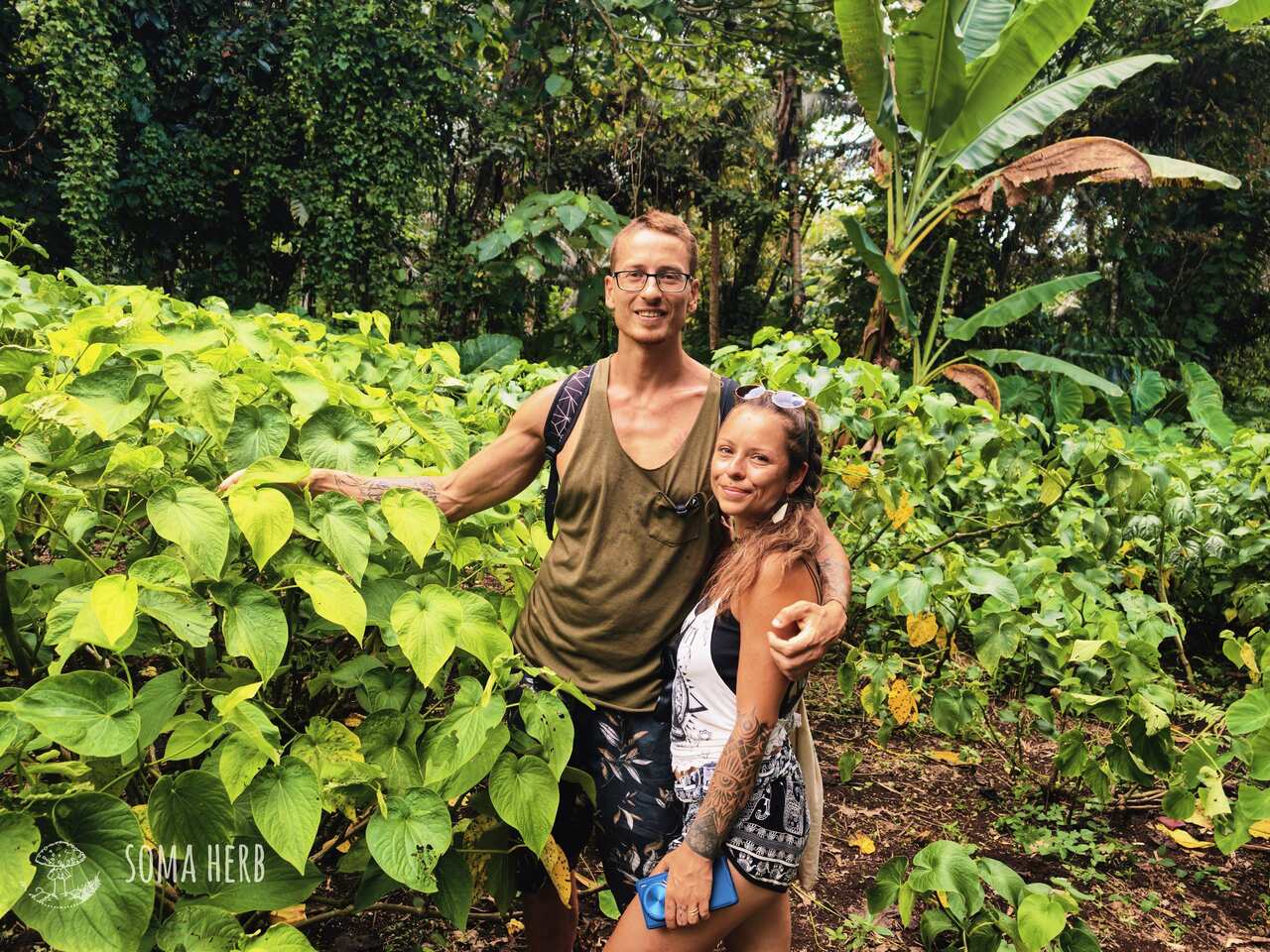 Výzkum kavy na Vanuatu, autorita na kavu je sama rostlina! 