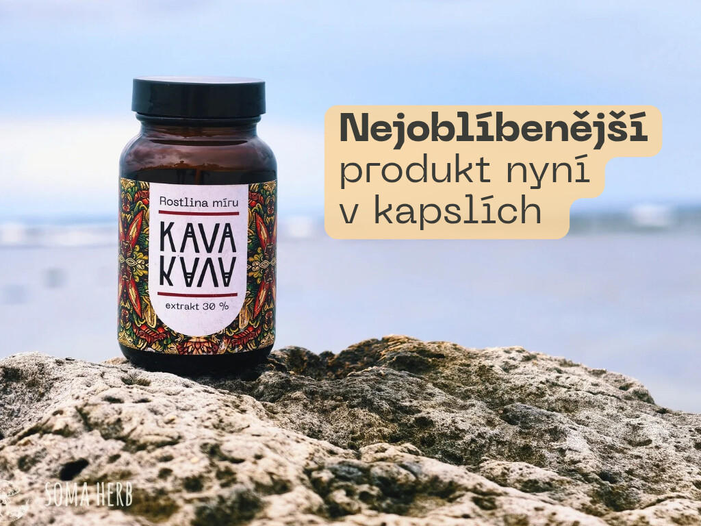 Nejsilnější extrakt z pepřovníku opojného v kapslích, kava, piper methysticum Vanuatu