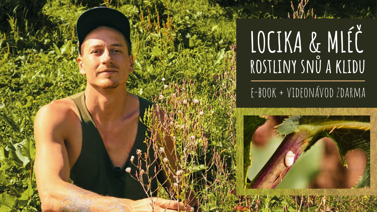E-book Locika a Mléč - praktický průvodce od Patrika Segeše, SOMA-HERB.cz
