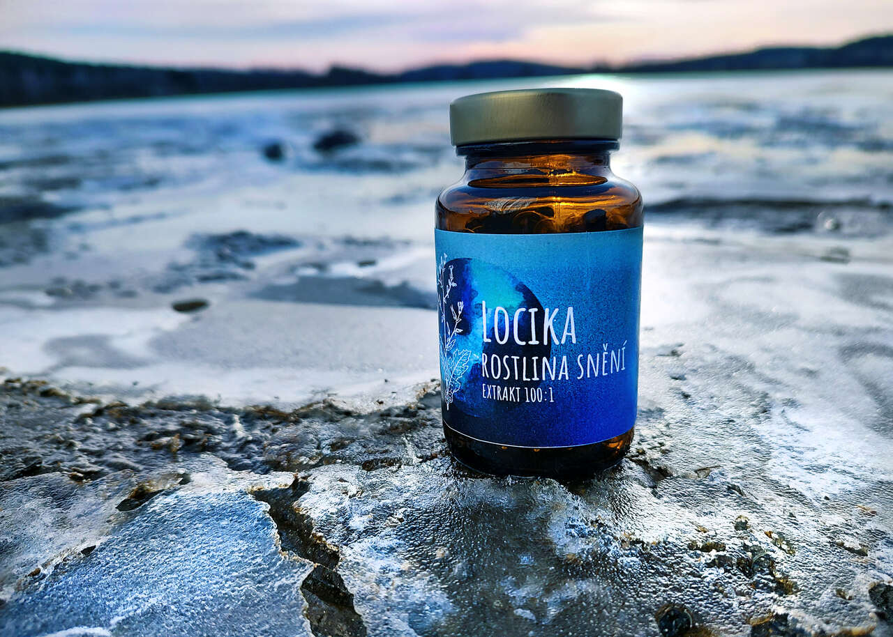 Locika jedovatá (Lactuca virosa) – extrakt v kapslích v lahvičce, SOMA HERB produkt