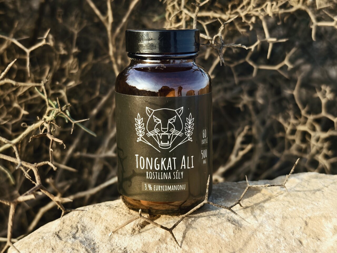 Tongkat ali 3% extrakt, kapsle, účinky, afrodisiakum, libido, testosteron, fitness, alternativa TRT