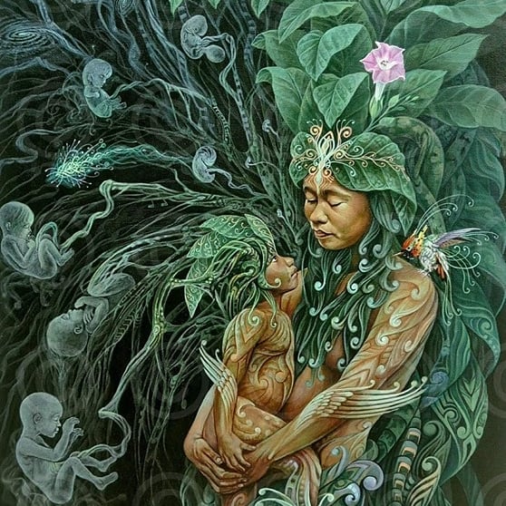 wayusa, ayahuasca, pacha mama