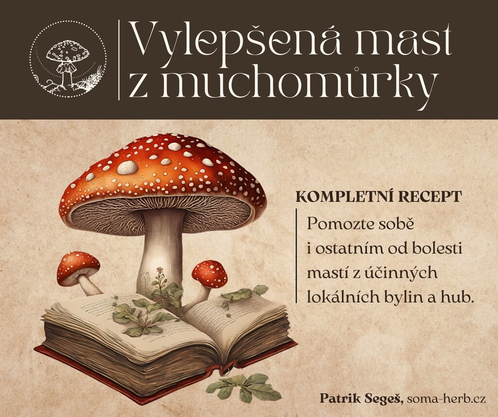 Mast z muchomůrky červené na bolest kloubů a svalů. Recept a návod od Patrik Segeše. Účinky, postup, kniha o muchomůrce, zkušenosti