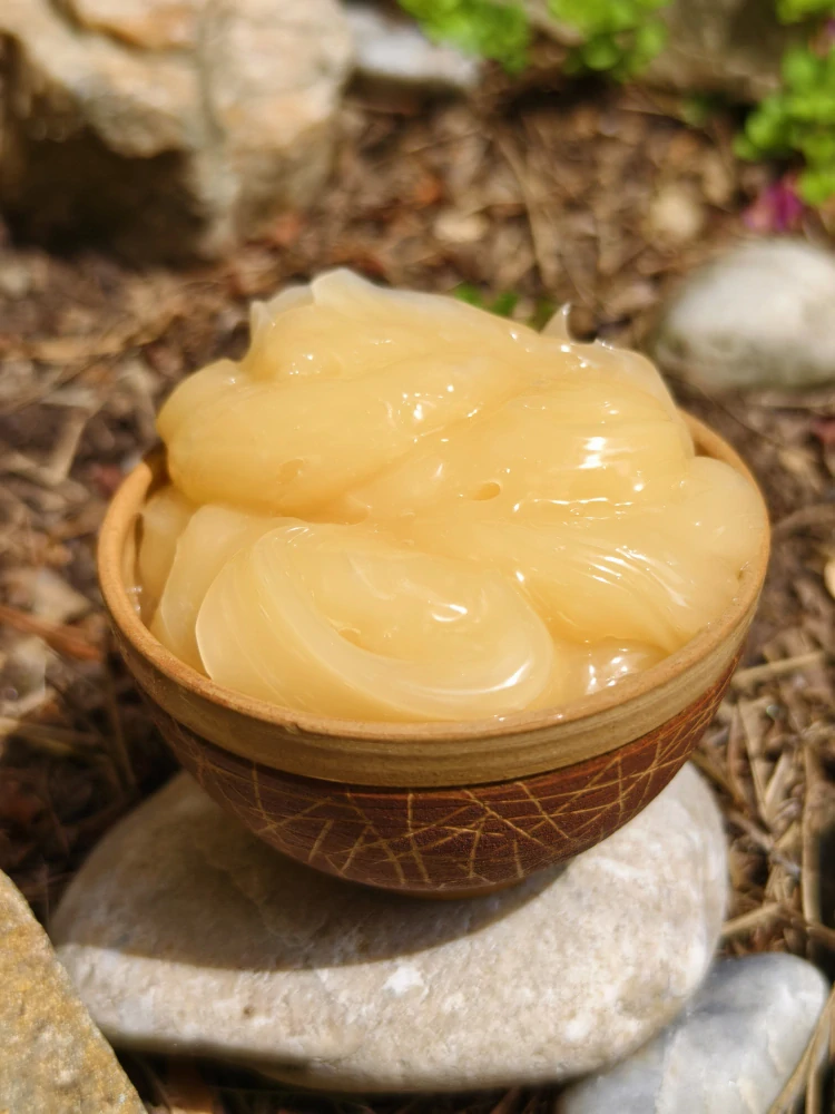 muchomůrková mast s lecigelem na klouby a svaly, recept