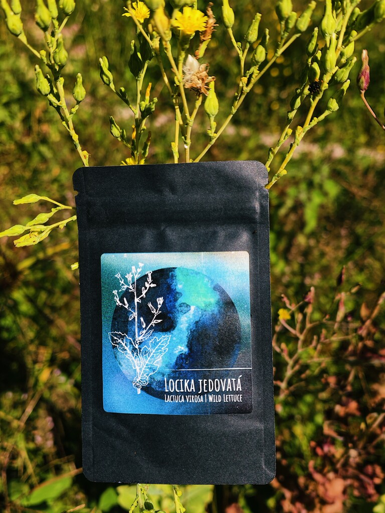 Locika (lactuca virosa) pryskyřice 100:1 - 10 g
