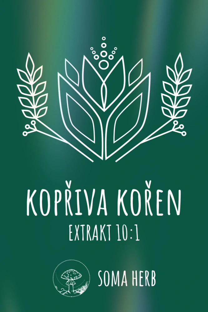 Kopřiva – kořen, extrakt 10:1 (nettle root)