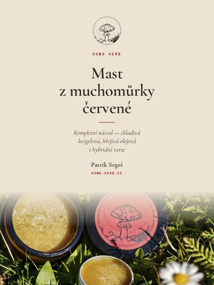 Mast z muchomůrky červené — e-kniha se třemi recepty