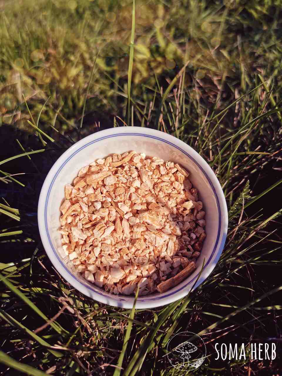Ženšen pravý - kořen řezaný 50 g