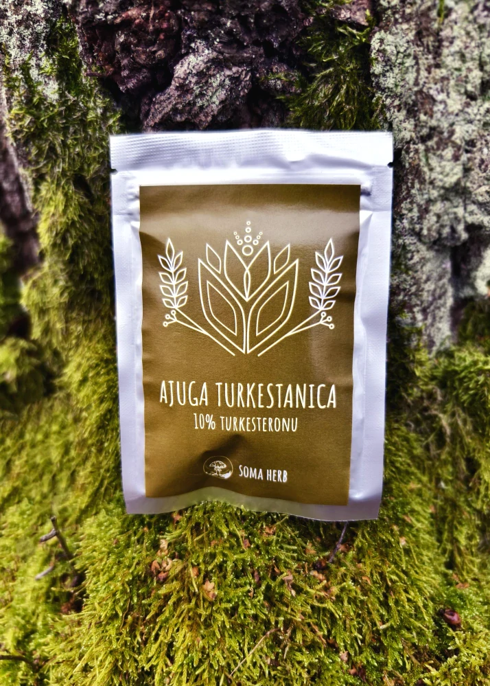 Ajuga Turkestanica extrakt (10% turkesteronu) 25 g