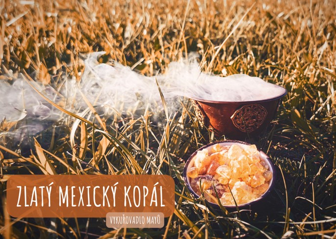 Kopál mexický zlatý (bursera bipinnata) vykuřovadlo