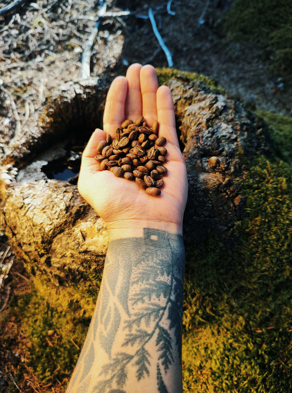 Káva Rio Intag Ekvádor 250 g zrnková