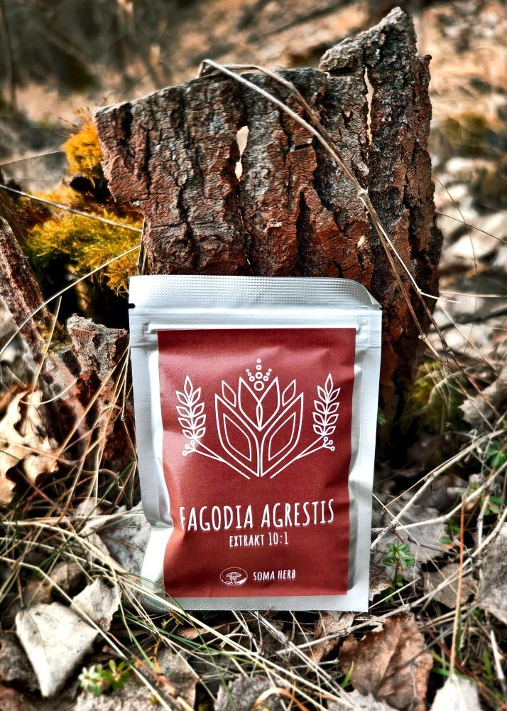 Fadogia agrestis 10:1 extrakt 50 g
