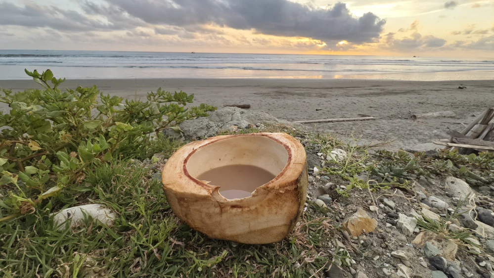 Kava Kava Vula 100 g