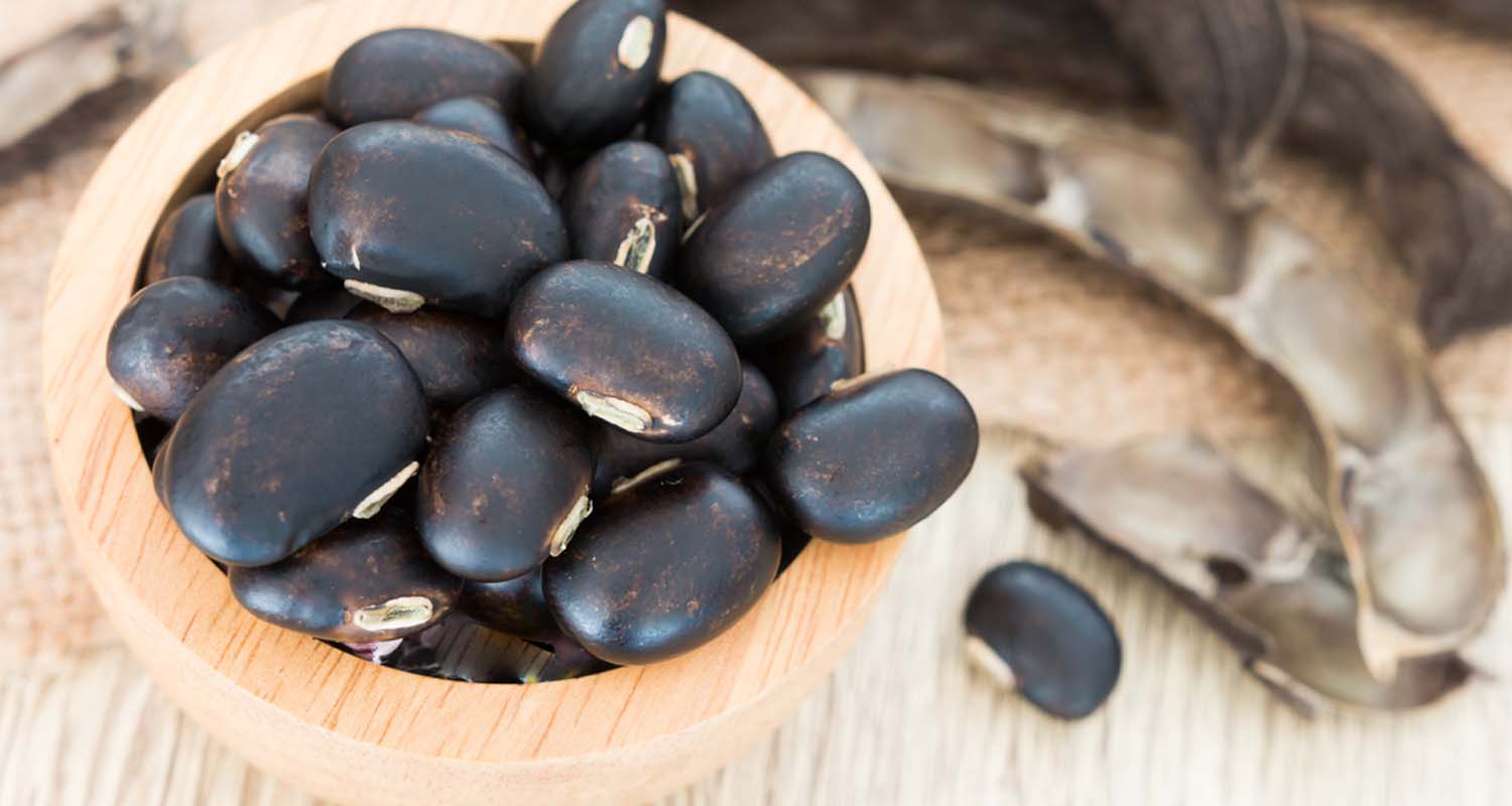 Mucuna pruriens - prášek z fazolí (100 g)