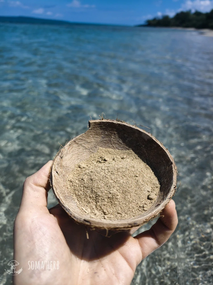 Kava Vanuatu Fresh Lateral Roots 25 g vzorek