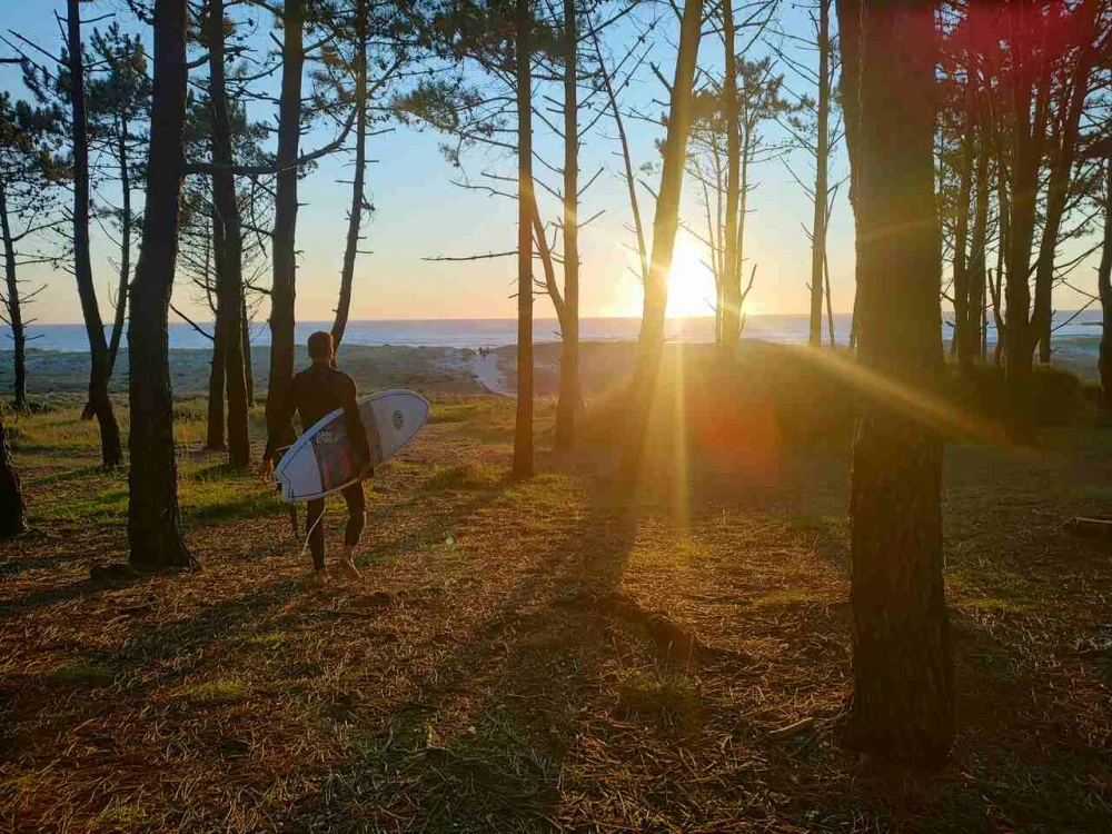 Kava Kava - Balanced instantní 250 g