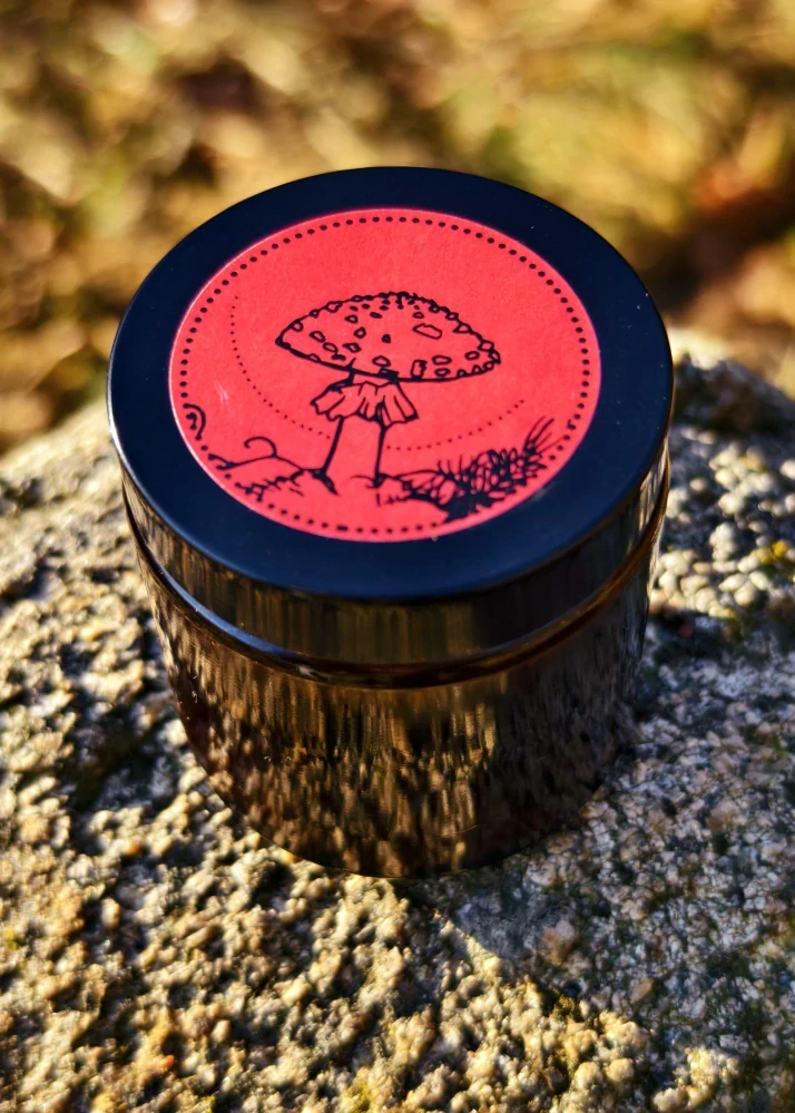 Muchomůrka & lecigel – sběratelský macerát