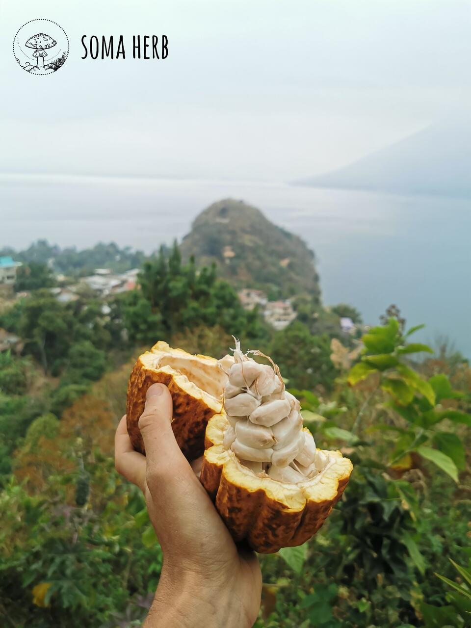 Ceremoniální Kakao Ruk’u’x Ulew - Srdce Země 227 g