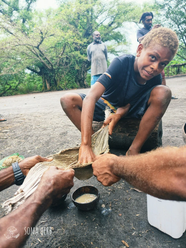 Kava extrakt SOMA HERB 30 % kavalaktonů – pepřovník opojný – 60 kapslí