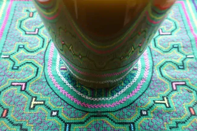 Ginkgo biloba (jinan dvoulaločný) – tinktura 1 : 1