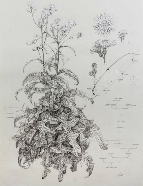 SOMA Smoke Blend – Mléč a Modrý Leknín - 5 g