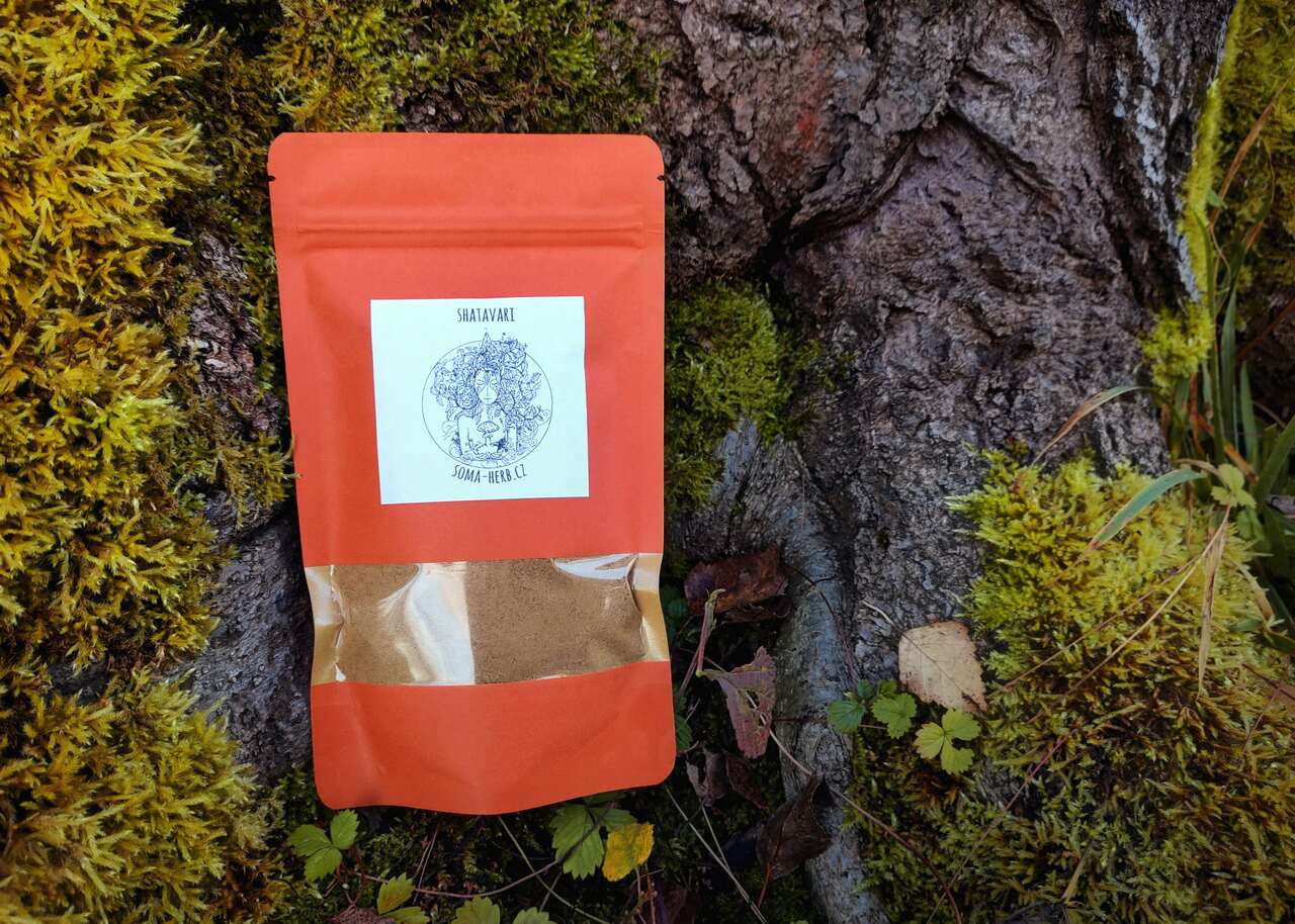 Šatavari - prášek z kořene 100 g