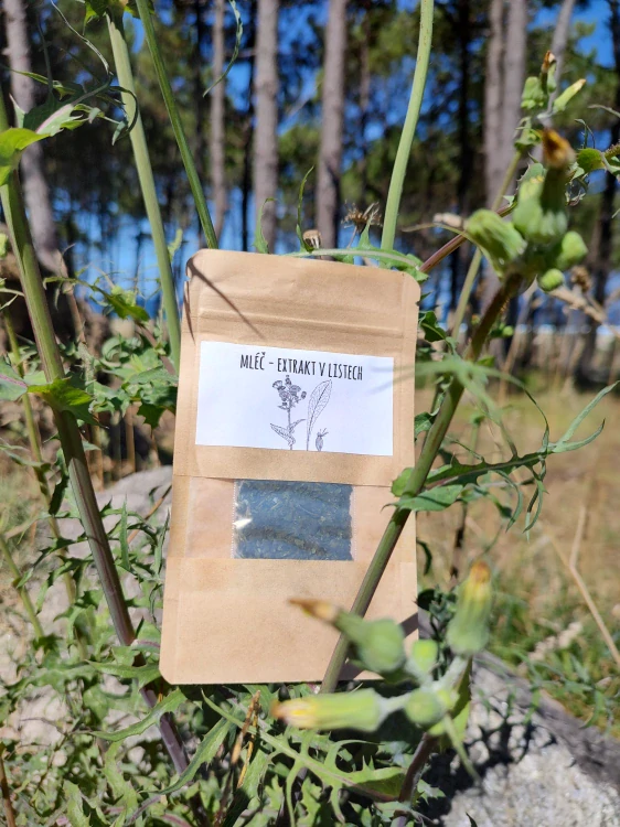 SOMA Smoke Blend – Mléč a Modrý Leknín - 5 g
