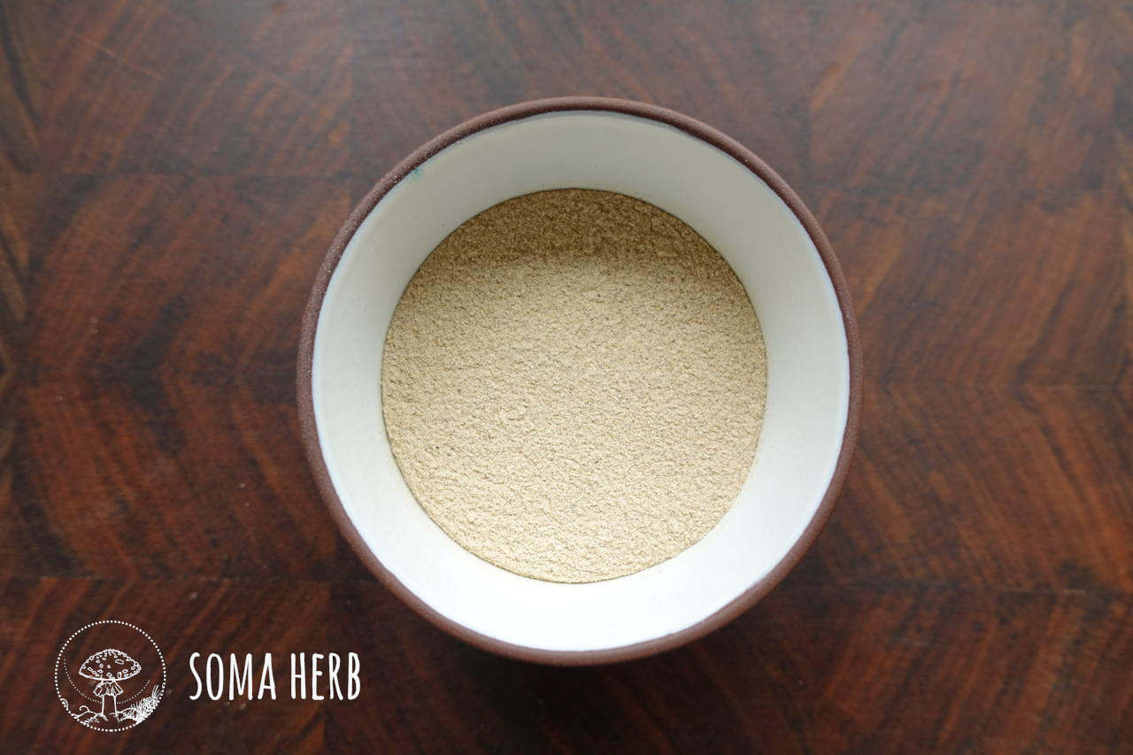 Šatavari - prášek z kořene 100 g