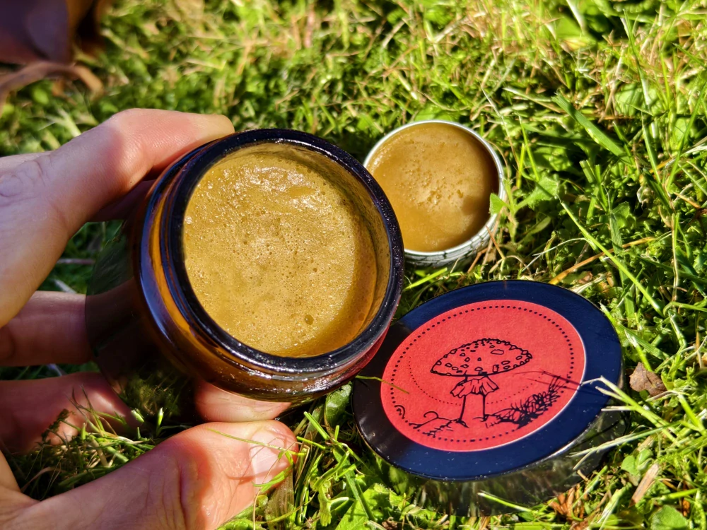  Muchomůrka červená (Amanita muscaria) – prášek