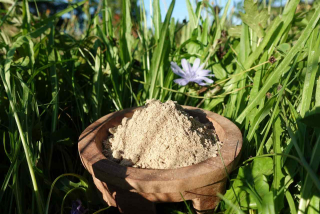 Kava Kava Solomon's Gold "Headhunter" - mletý kořen