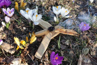 Palo Santo štípané 50 g