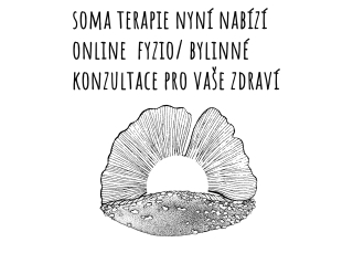 On-line poradenství