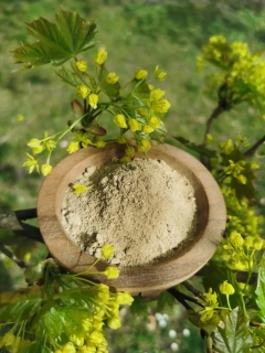 Kava Kava Borogu - mletý kořen