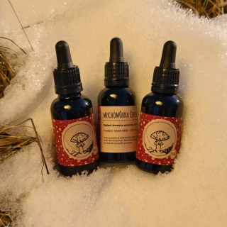 Amanita muscaria - tinktura Lucidaria (muchomůrka červená)