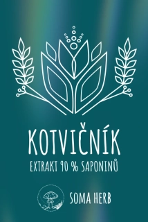 Tribulus terrestris – extrakt 90 % saponinů (kotvičník zemní)