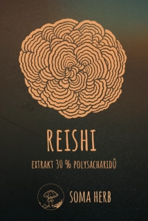 Reishi – extrakt 30 % polysacharidy 50 g