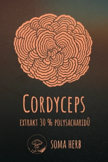 Cordyceps extrakt 50 g