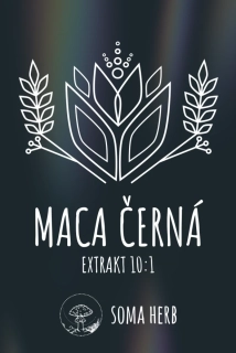 Black Maca extrakt 10:1