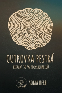 Outkovka pestrá (Turkey tail) – extrakt 30 % polysacharidy