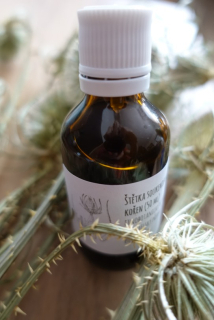 Štětka soukenická (Dipsacus sativus) – tinktura 1 : 1