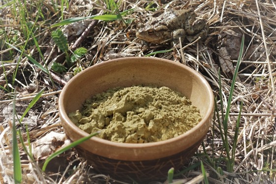 Detailní fotka misky s kratomovým práškem – průvodce jak přestat s kratomem a zvládnut odvykání.